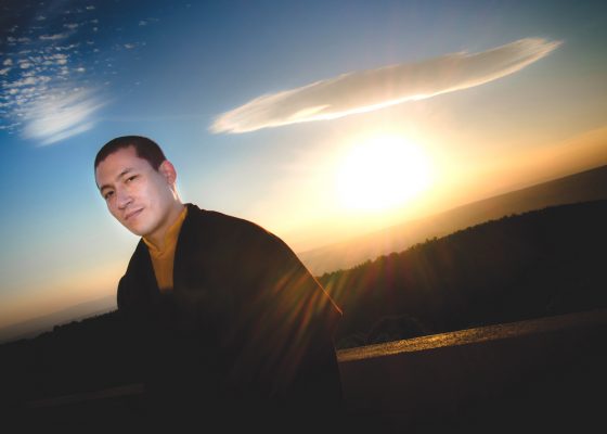 karmapa trinley thaye dorje