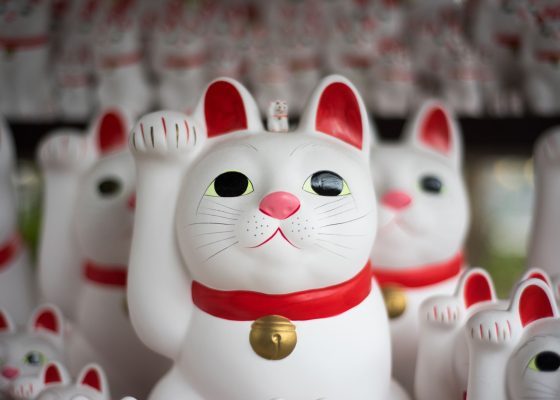 Cat figurines at Gotokuji temple in Setagaya City, Tokyo. | animal chaplain