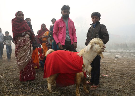 animal sacrifice in nepal