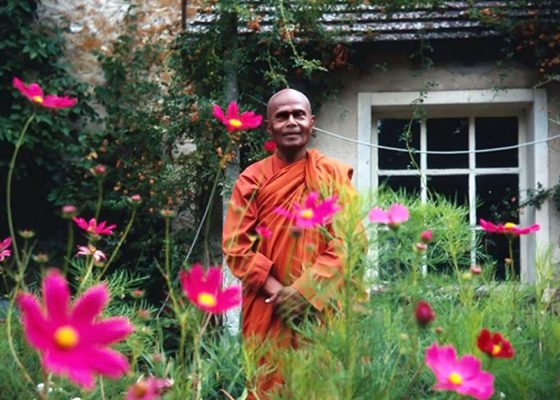 bhante gunaratana interview