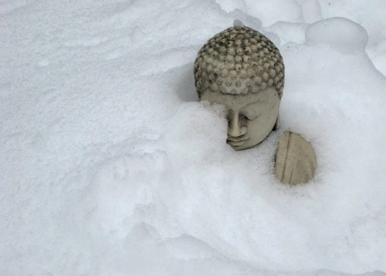 Buddha in the snow