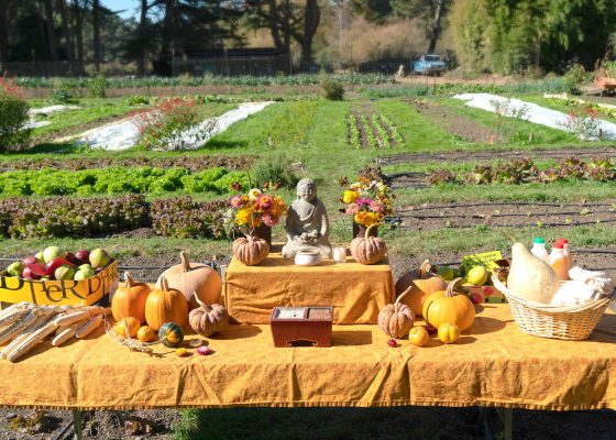 green gulch farm