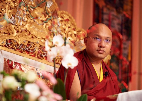 Karmapa Ogyen Trinley Dorje video