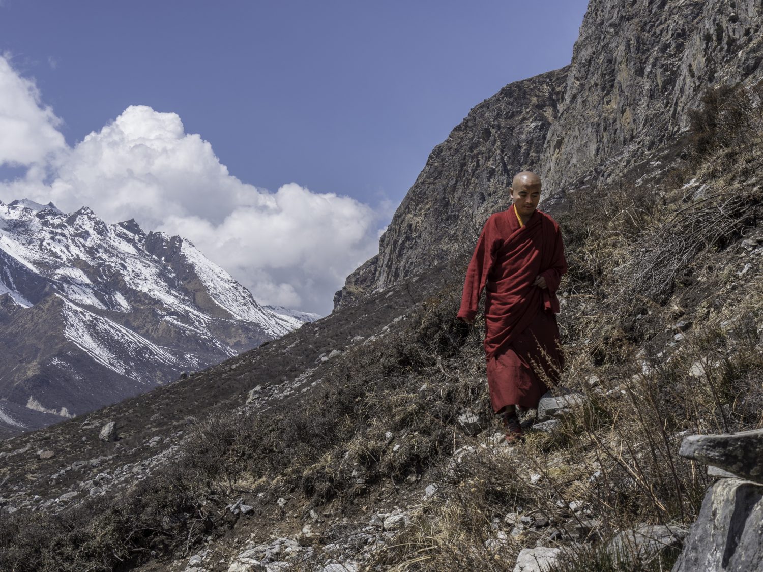 Wandering...But Not Lost Mingyur Rinpoche