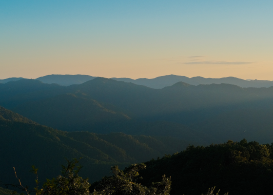 sutras of mountain water Abruptly Dogen